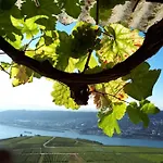 Daire Rebenhaus Rüdesheim am Rhein