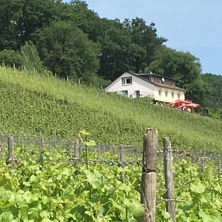 Rebenhaus * Rüdesheim am Rhein