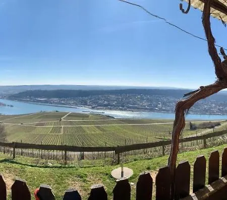Rebenhaus Apartment Rüdesheim am Rhein