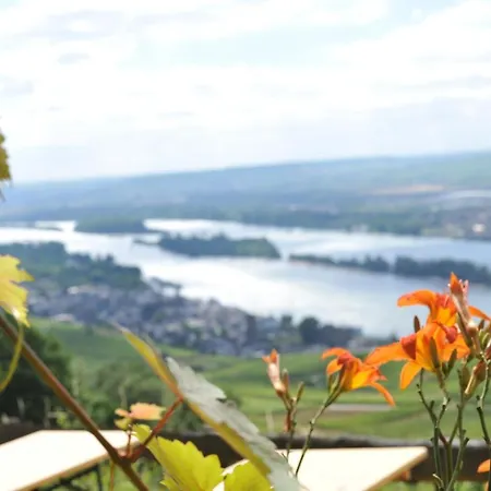 Rebenhaus Apartmán Rüdesheim am Rhein