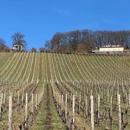 Rebenhaus * Ruedesheim am Rhein