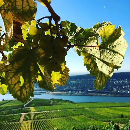 Apartmán Rebenhaus Rüdesheim am Rhein