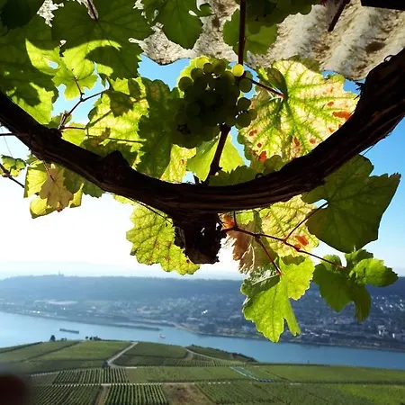 Apartmán Rebenhaus Rüdesheim am Rhein