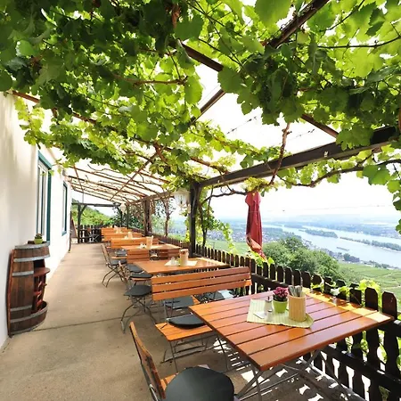 Rebenhaus Apartamento Rüdesheim am Rhein