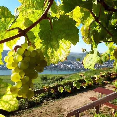 Apartmán Rebenhaus *