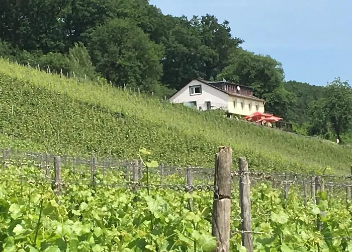 Rebenhaus * Rüdesheim am Rhein