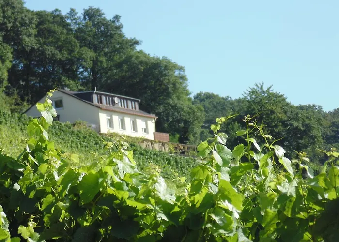 Appartement Rebenhaus *