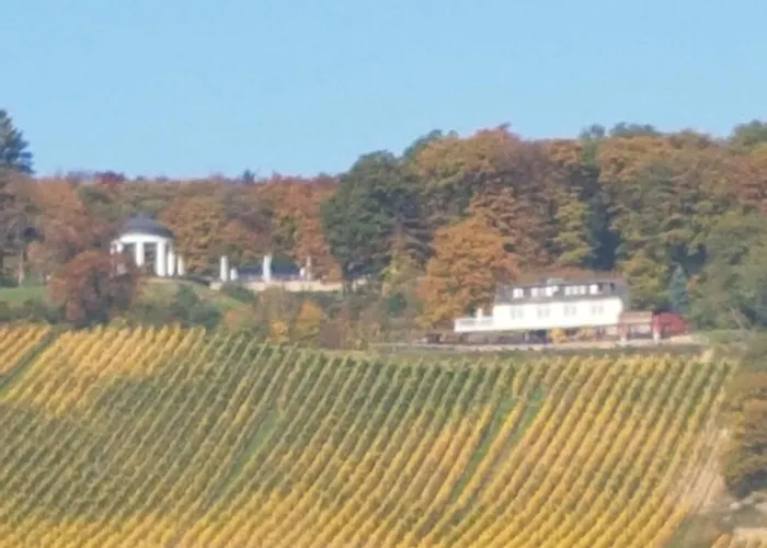 Appartement Rebenhaus