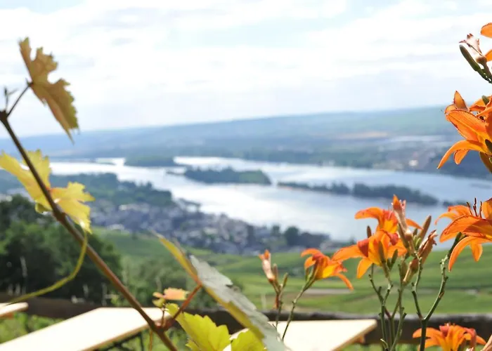 Rebenhaus Apartamento Rüdesheim am Rhein
