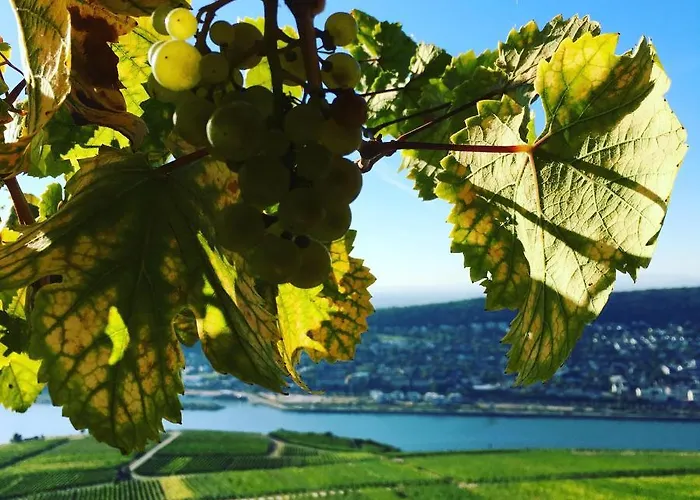Appartement Rebenhaus Rüdesheim am Rhein