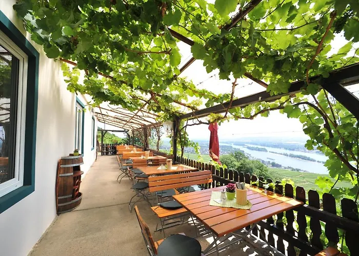 Rebenhaus Appartement Rüdesheim am Rhein