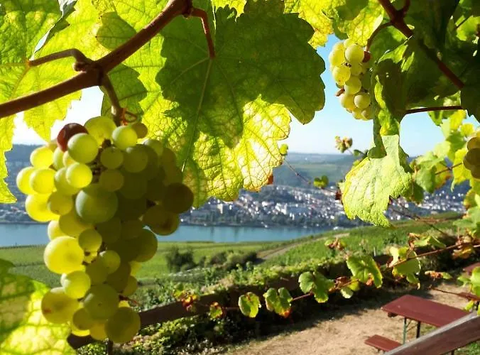 Appartement Rebenhaus *