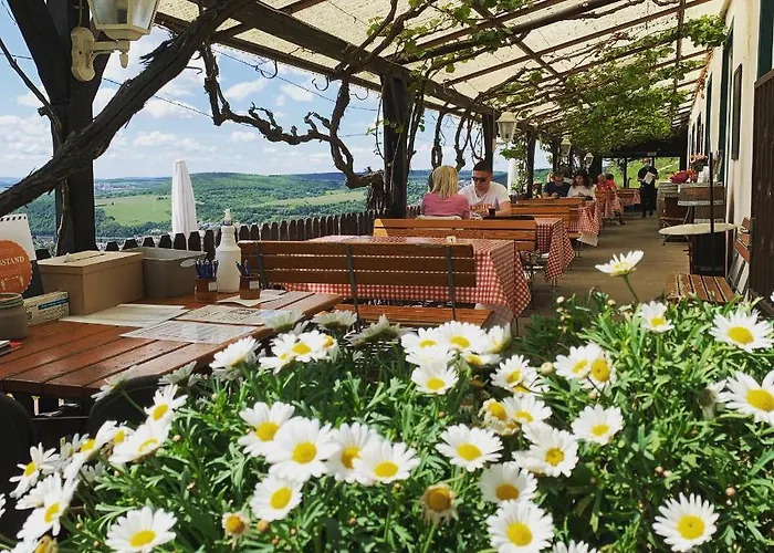 Appartement Rebenhaus Rüdesheim am Rhein