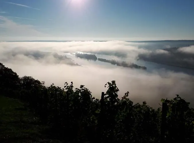 Appartement Rebenhaus