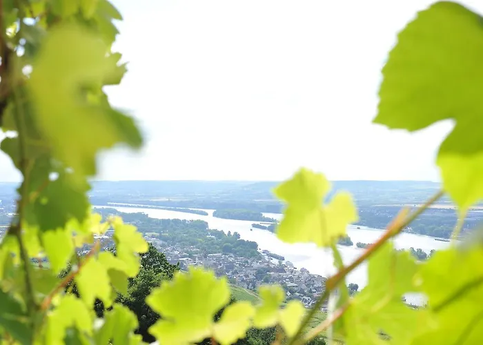 Appartement Rebenhaus