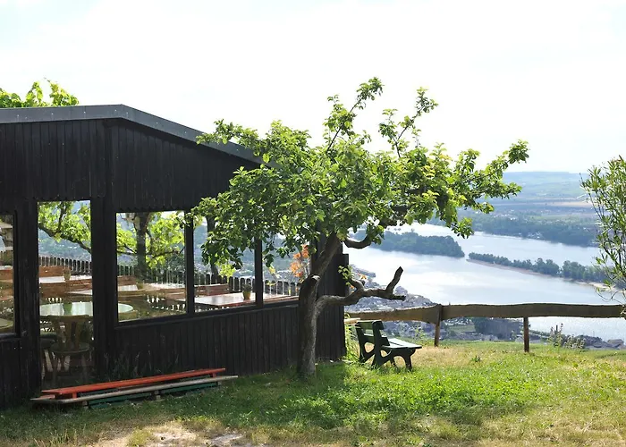 Appartement Rebenhaus *